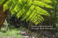 Property photo of 45 Yowani Road Rosedale NSW 2536