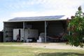 Property photo of 264 Euri Road West Bowen QLD 4805