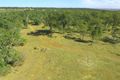 Property photo of 1243 Clifton Pittsworth Road Back Plains QLD 4361
