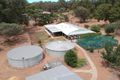 Property photo of 25 Red Gum Circle Coondle WA 6566