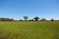 Property photo of Foster Road Boorhaman VIC 3678