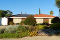 Property photo of 81 Derrick Street Berri SA 5343