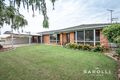 Property photo of 52 Brooks Avenue Shepparton VIC 3630