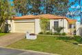Property photo of 14 Siena Place Coombabah QLD 4216
