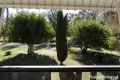 Property photo of 2 Heber Street Moree NSW 2400