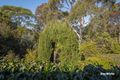 Property photo of 19 Dell Parade Moruya Heads NSW 2537