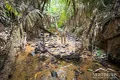 Property photo of 184L Lakes Drive Lake Eacham QLD 4884