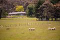 Property photo of 433 Bawden Road Mount Macedon VIC 3441