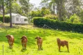 Property photo of 4 Kinen Lane Canina QLD 4570