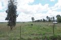Property photo of 4051 Elcombe Road Bingara NSW 2404