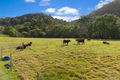 Property photo of 80 Musavale Road Eerwah Vale QLD 4562