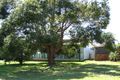 Property photo of 8 Cudgee Street Blacksmiths NSW 2281