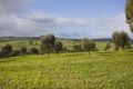 Property photo of 45 Old Lorne Road Deans Marsh VIC 3235