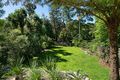 Property photo of 39 Sunnyside Crescent Castlecrag NSW 2068