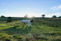 Property photo of 77E/478 Mizpah Settlement Road Buln Buln East VIC 3821