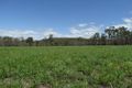 Property photo of 340 Matchbox Road Deepwater QLD 4674