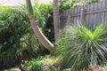 Property photo of 16 Merrymen Way Port Macquarie NSW 2444