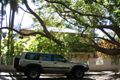 Property photo of 19 South Avenue Double Bay NSW 2028
