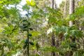 Property photo of LOT 60 Goffeys Road Dundas QLD 4306