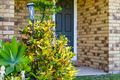 Property photo of 7 Aster Street Deception Bay QLD 4508