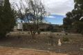 Property photo of 38 Clarke Road Berri SA 5343