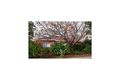 Property photo of 3 Bakara Street Park Holme SA 5043