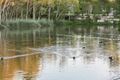 Property photo of 30 Carisbrook Court Little Mountain QLD 4551