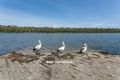 Property photo of 18 Elizabeth Parade Forster NSW 2428