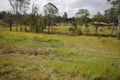 Property photo of 14 McMurtrie Road Chatsworth QLD 4570