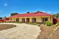 Property photo of 114 Fiddlewood Drive Freeling SA 5372