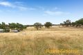 Property photo of 107 Scottsburn Road Woodside SA 5244