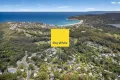 Property photo of 14 Cabbage Tree Avenue Avoca Beach NSW 2251