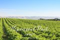 Property photo of LOT 34 Hepenstal Road Hackham SA 5163