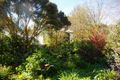 Property photo of 11 Turnley Street Merino VIC 3310