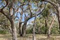 Property photo of 120 Jarosite Road Bells Beach VIC 3228