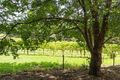 Property photo of 1165 Greenhill Road Uraidla SA 5142