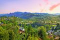 Property photo of 76 Cominan Avenue Banora Point NSW 2486