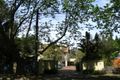 Property photo of 47 Burns Road Wahroonga NSW 2076