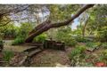 Property photo of 17 Park Parade Road Cape Paterson VIC 3995