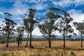Property photo of 18127 Tasman Highway Bicheno TAS 7215