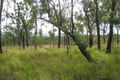 Property photo of 61 Bivouac Road Millstream QLD 4888