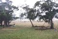 Property photo of 8 Coburn Lane Smithton TAS 7330