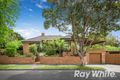 Property photo of 354 Middleborough Road Blackburn VIC 3130