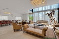 Property photo of 46 Burns Parade Chapel Hill QLD 4069