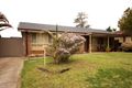 Property photo of 19 Selby Place Minto NSW 2566