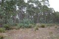 Property photo of 130 Farrells Road Reedy Marsh TAS 7304