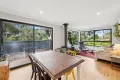 Property photo of 16 Cassidy Drive Kennett River VIC 3234