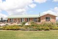 Property photo of 189 Bellevue Road Tenterfield NSW 2372