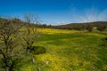 Property photo of 1807 Triangle Flat Road Triangle Flat NSW 2795