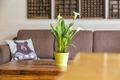 Property photo of 2/8 Wavertree Place Leederville WA 6007